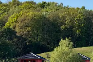 Einfamilienhaus mit Wasserblick und Wintergarten - Provisionsfrei! – Grubnow 1b, 18569 Rügen (Kreis) – Vorschaubild 8
