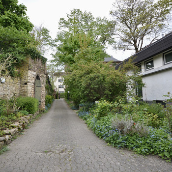 Freistehendes Haus in begehrter Lage von Ingelheim