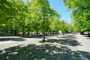 Property thumbnail 14