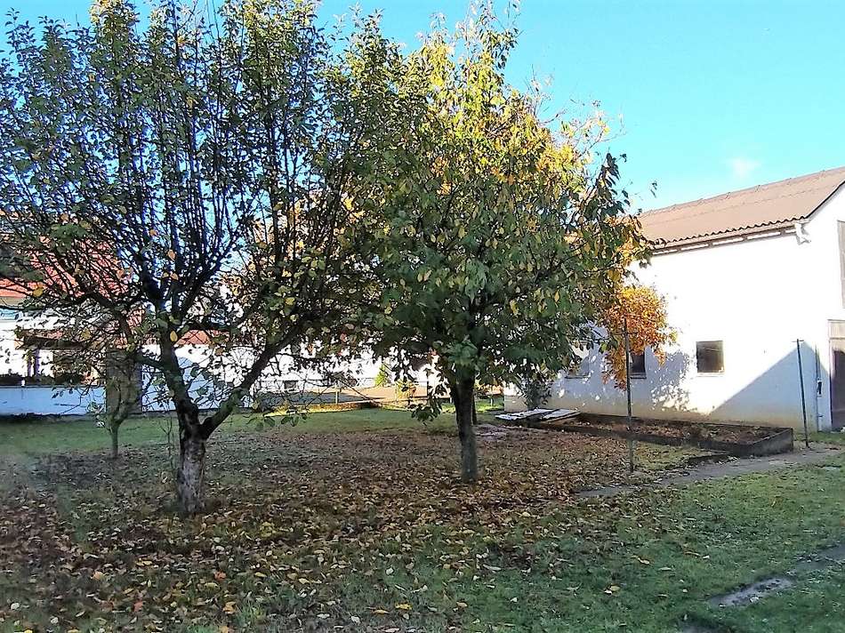 rückwärt. Garten m. Schuppen