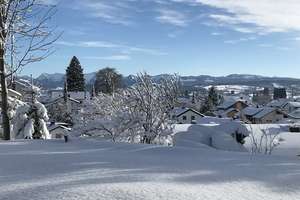 Traumgrundstück mit sensationellem Bergpanorama in Lindenberg im Allgäu – Am Hasentobel 5, 88161 Lindenberg im Allgäu – Vorschaubild 9