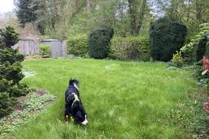 Wunderschöner Bungalow, in ruhiger Lage mit Fernwärme und magischem Garten in Parknähe! – Die vollständige Adresse der Immobilie erhältst du vom Anbieter., 81735 Gartenstadt Trudering, München – Vorschaubild 11