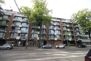 Rarität: kpl. sanierte Maisonettewohnung in Grafenberg