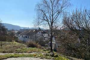 ++RESERVIERT++ Einmalig: Freistehendes EFH m. Einliegerwohnung u. gr. Garten - Lörrach (Haagen) – Lörrach (Kreis) – Vorschaubild 26