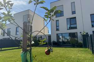 Property thumbnail 18