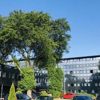 Klimatisierte Büros in Duisburg-Rheinhausen | Ausbau nach Mieterwunsch | RUHR REAL