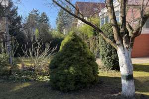 Gepflegtes Einfamilienhaus mit Wintergarten, idyllischem Garten und Garage – bezugsfrei ab 06/2026 – Die vollständige Adresse der Immobilie erhältst du vom Anbieter., 12621 Kaulsdorf, Berlin – Vorschaubild 29