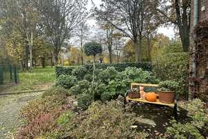 *1 F-Reiheneckhaus mit Garten, EB-Küche, Carport, Doppelgarage u.v.m. in MG-Hockstein!* – Mönchengladbach – Vorschaubild 11