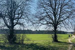 Hochparterre Wohnen im Grünen - Parkstadt Solln – Die vollständige Adresse der Immobilie erhältst du vom Anbieter., 81477 Solln, München – Vorschaubild 12