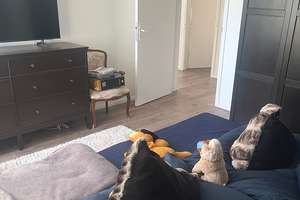 Außergewöhnlich großzügig wohnen: 6 Zimmer, Wintergarten, 2 Bäder & Garten in Lübeck – 23554 Sankt Lorenz Nord, Lübeck – Vorschaubild 7