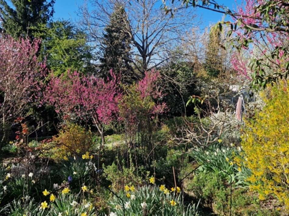 Gartenpracht