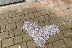 Tatsächlich gepflegtes tw. vermietetes Mehrfamilienhaus zu verkaufen ! – Die vollständige Adresse der Immobilie erhältst du vom Anbieter., 60124 Kirchheim, Heidelberg – Vorschaubild 29
