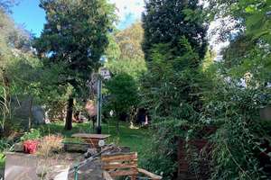EG in Renovierung mit Terrasse und Gartenmitbenutzung
