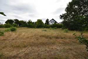 DIETZ: Einfamilienhaus mit Garage, großem Garten in einer ruhigen Randlage! Wohnhausanbau möglich! – Darmstadt-Dieburg (Kreis) – Vorschaubild 11