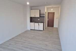 Frisch renoviertes Single- Apartment in Köln-Zollstock – Gottesweg 40, 50969 Zollstock, Köln – Vorschaubild 9