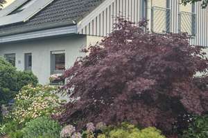 Einfamilienhaus mit modernster Energietechnik und wunderschönem Garten – Die vollständige Adresse der Immobilie erhältst du vom Anbieter., 63826 Geiselbach – Vorschaubild 2