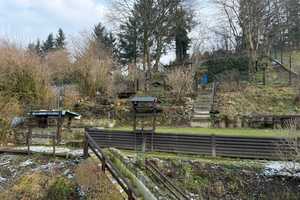 Kleines Einfamilienhaus mit  ca. 115 m² Wohnfläche und 540 m² Grundstück am Hang – Goslar (Kreis) – Vorschaubild 6