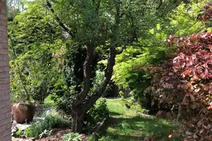 freistehendes Einfamilienhaus (inkl. EBK) auf ruhigem Sonnengrundstück – Berlin – Vorschaubild 25