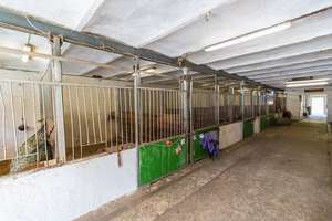 Idyllische Reitanlage mit Wohnhaus, Gästezimmern und Wirtschaftsgebäuden – Die vollständige Adresse der Immobilie erhältst du vom Anbieter., 27612 Loxstedt – Vorschaubild 22