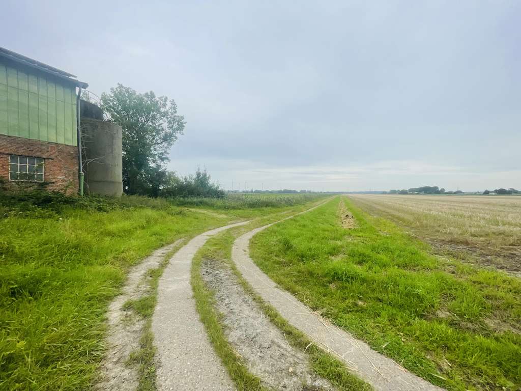 Immobilie in Volsemenhusen - Stilvoller Bauernhof mit Stall und gr. Scheune in Volsemenhusen - Bild 4