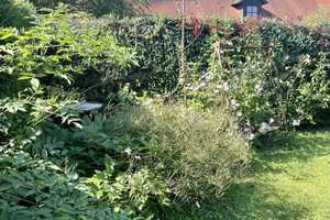 Charmante Doppelhaushälfte mit Atelier und schönem Garten in begehrter Toplage – Ingolstadt – Vorschaubild 25