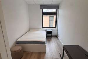 Frisch Sanierte 4er WG mit Vollmöblierung  – ideal für Studenten – Die vollständige Adresse der Immobilie erhältst du vom Anbieter., 52062 Markt, Aachen – Vorschaubild 5