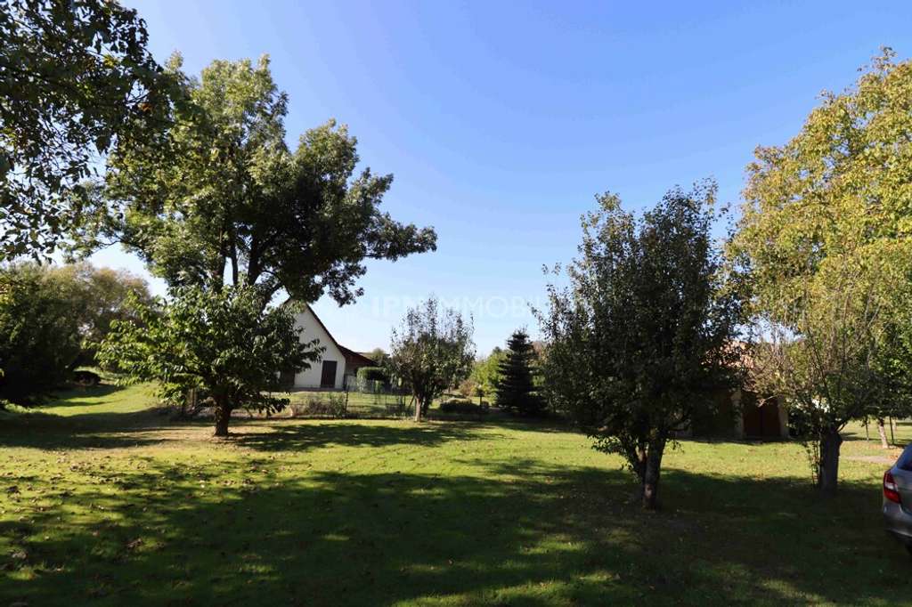 Immobilie in Laage - Provisionsfrei - Einfamilienhaus mit Ausbaumöglichkeit, Garage & Bauland! - Bild 4