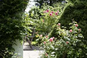 Großzügiges Wohlfühl-Haus mit wunderschönem Gartenidyll in Probstried – Oberallgäu (Kreis) – Vorschaubild 18