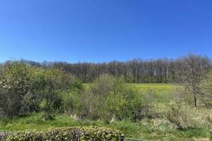 Wunderschönes Haus mit Einliegerwohnung direkt am Wald – Jung-stilling-str 20, 57234 Wilnsdorf – Vorschaubild 5