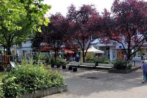 4/5 Zimmer Wohnung in Königsforstnähe (Neubrück) zur Eigennutzung oder als Kapitalanlage – Europaring 9, 51109 Neubrück, Köln – Vorschaubild 21