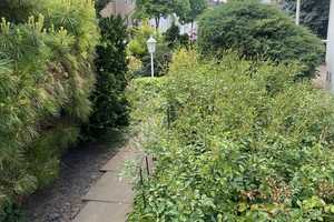 Wohnen im Herzen von Bad Oeynhausen – Zweifamilienhaus mit Gartenoase und Terrassenidylle! – Minden-Lübbecke (Kreis) – Vorschaubild 7