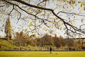 Property thumbnail 27