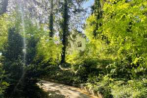 Gefunden: im Eißendorfer Villenviertel - Grüner Wohnen am Hang - PKW Zufahrt & Potential – Grosse str 00, 21075 Hamburg – Vorschaubild 23