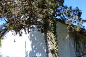 Rarität in Pitzling: 951 m² Grundstück mit Bestands-Bungalow & Neubaupotenzial – Eichteilstr. 24, 86899 Landsberg am Lech – Vorschaubild 10