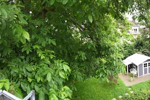 Bretzenheim - 3 Zi. Wohnung mit Gartenbalkon – Hochstraße 82, 55128 Bretzenheim, Mainz – Vorschaubild 3