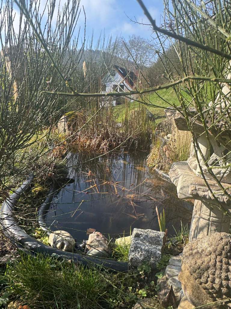 Immobilie in Heppenheim - Großzügiges Zweifamilienhaus mit ELW (15 Zimmer) in schönster Naturumgebung - Bild 3