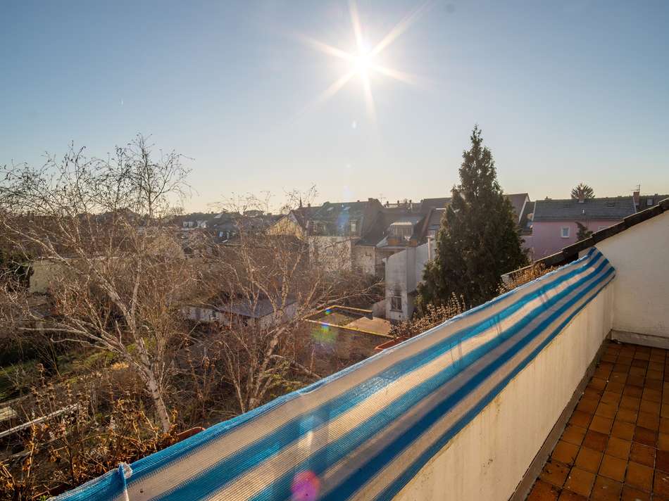 _36805.jpg