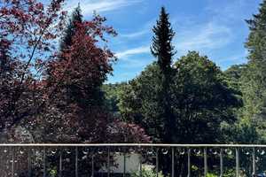 Repräsentative Fabrikantenvilla – Stadtnah und im Grünen! – Birkenfeld (Kreis) – Vorschaubild 12