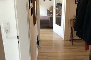 Property thumbnail 9