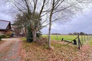 "Idyllischer Resthof in Alleinlage: Tolles Anwesen mit Hofladen, Reitplatz! – Emsland (Kreis) – Vorschaubild 8