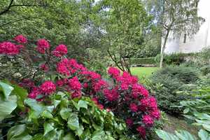 Property thumbnail 22