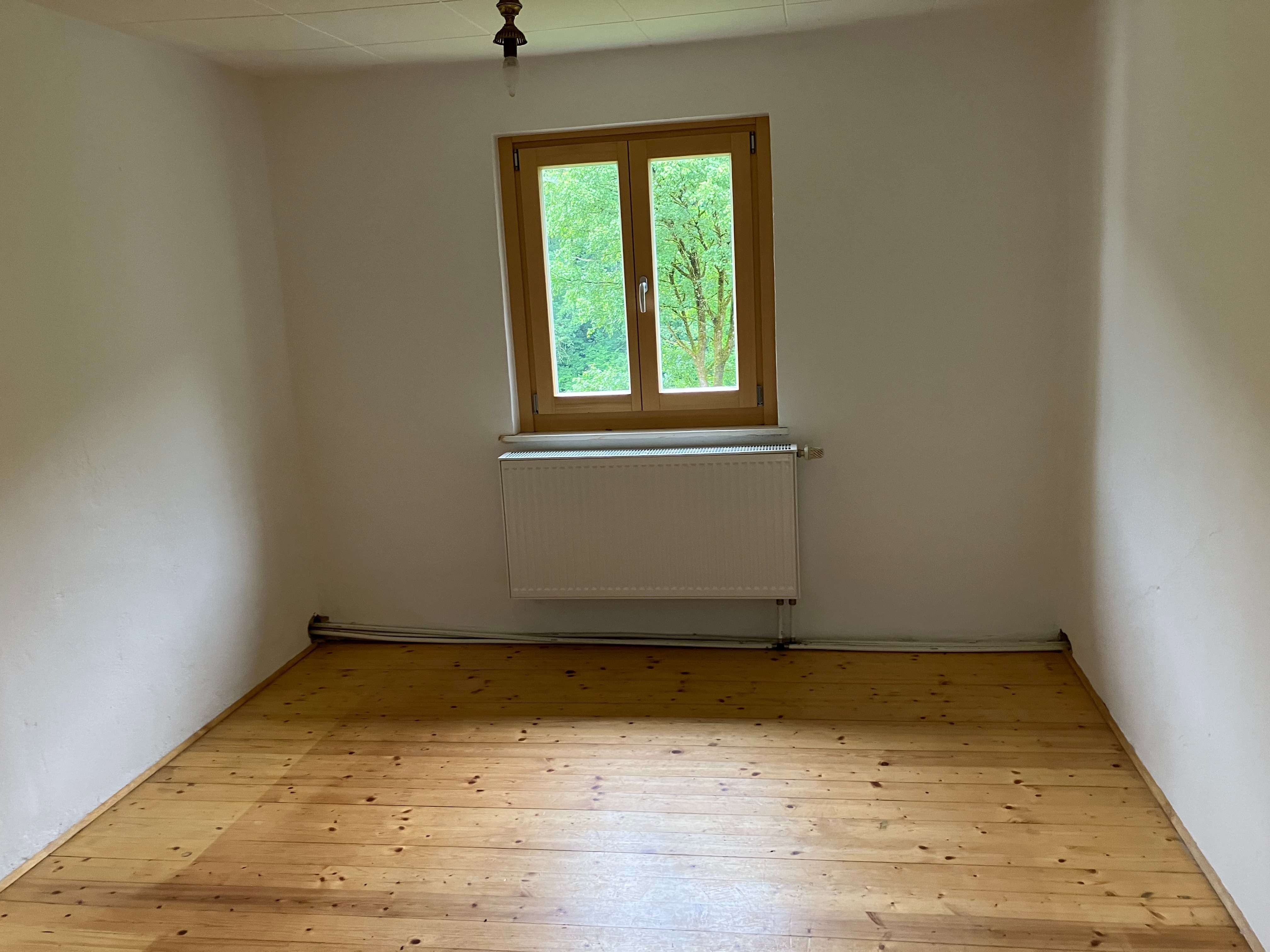 Immobilie in Weigendorf - Wochenendhaus mit großem Grundstück in Weigendorf! - Bild 2