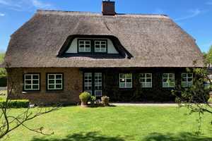 Stilvolles Reetdachhaus auf parkähnlichem Grundstück – Ostholstein (Kreis) – Vorschaubild 5