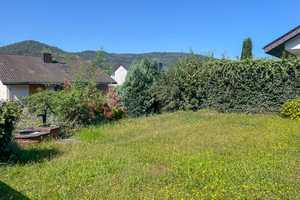 Gepflegtes Mehrgenerationenhaus: 3-Einheiten-Immobilie mit Garten in familienfreundlicher Lage – Main-Tauber-Kreis – Vorschaubild 4