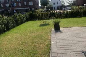 Einfamilienhaus mit 155 m² Wohnfläche in Hamburg – 21147 Neugraben-Fischbek, Hamburg – Vorschaubild 2