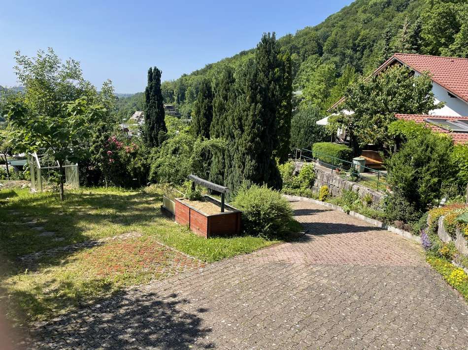 Garten/ Auffahrt