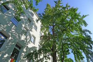 Kapitalanlage oder spätere Eigennutzung: in kleiner Seitenstraße im trendigen Berlin-Moabit! – Die vollständige Adresse der Immobilie erhältst du vom Anbieter., 10553 Moabit, Berlin – Vorschaubild 2