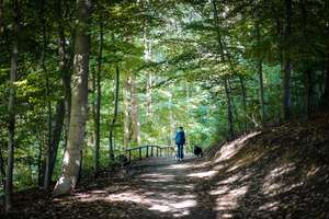 Property thumbnail 12