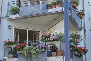 Provisionsfrei - Apartment in Dresden-Striesen mit TG
