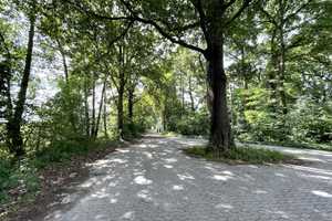 Wohnen am Feld: Gepflegtes Wohnhaus mit 8 Zimmern in ruhiger Feldrandlage – Hannover (Kreis) – Vorschaubild 11